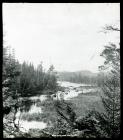 Mud Pond from the Outlet